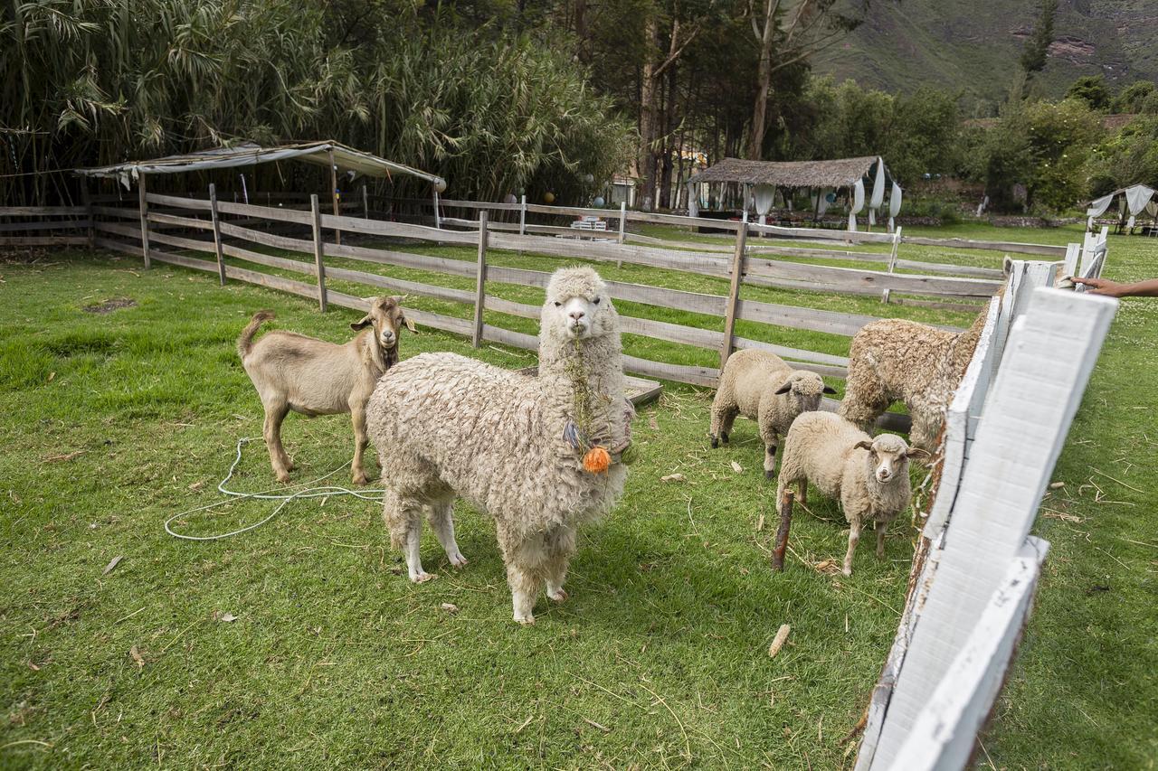 The Sacred Valley Lodge - Hotel Cusco Юкай Экстерьер фото